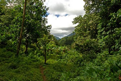 dominica.jpg